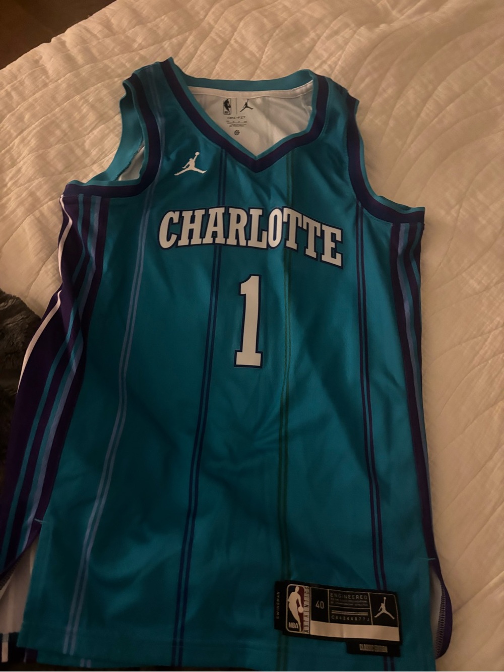 Jordan Air Jordan NBA LaMelo
Ball Charlotte Hornets
Swingman Jersey #1